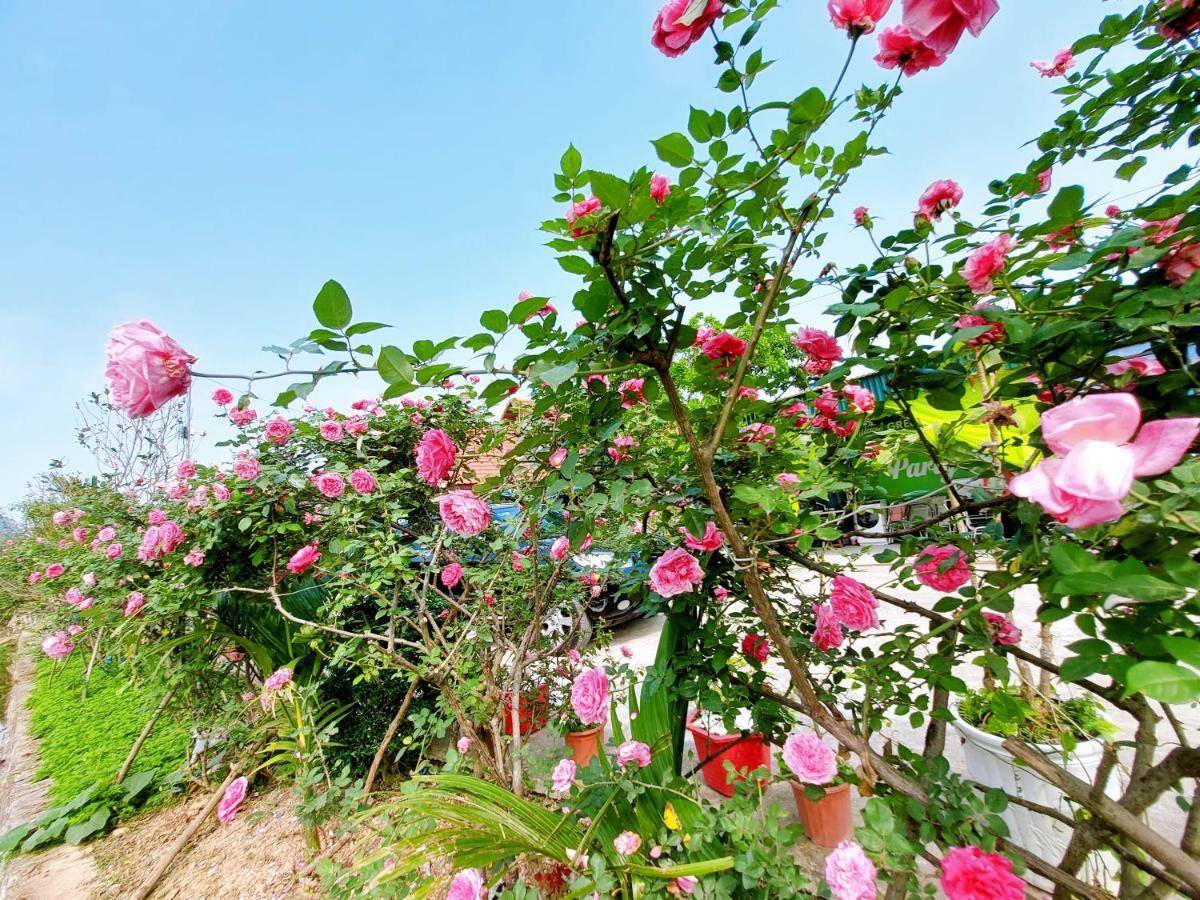 Ninh Binh Green Farmstay La Phu  Экстерьер фото