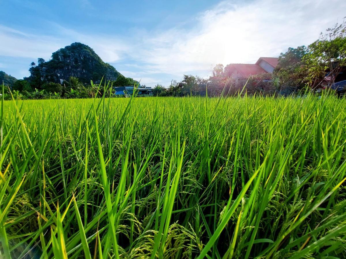 Ninh Binh Green Farmstay La Phu  Экстерьер фото