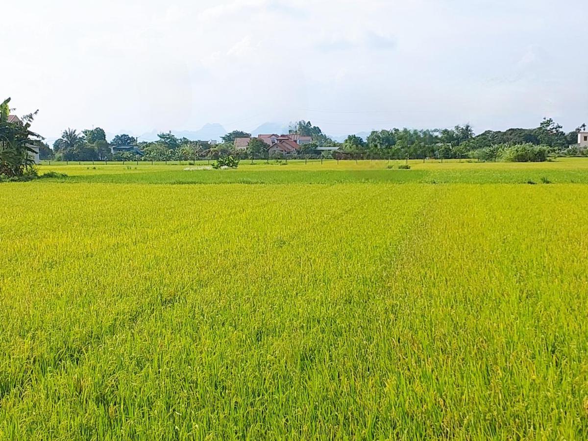 Ninh Binh Green Farmstay La Phu  Экстерьер фото